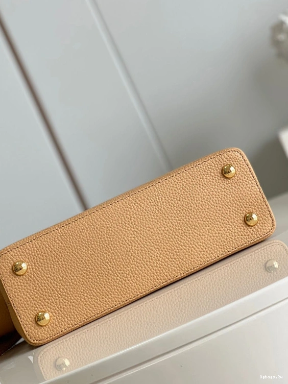 LOUIS VUITTON CAPUCINES MM 0420